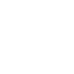 Iron Fortress Streetlifting (IFSL) federation logo