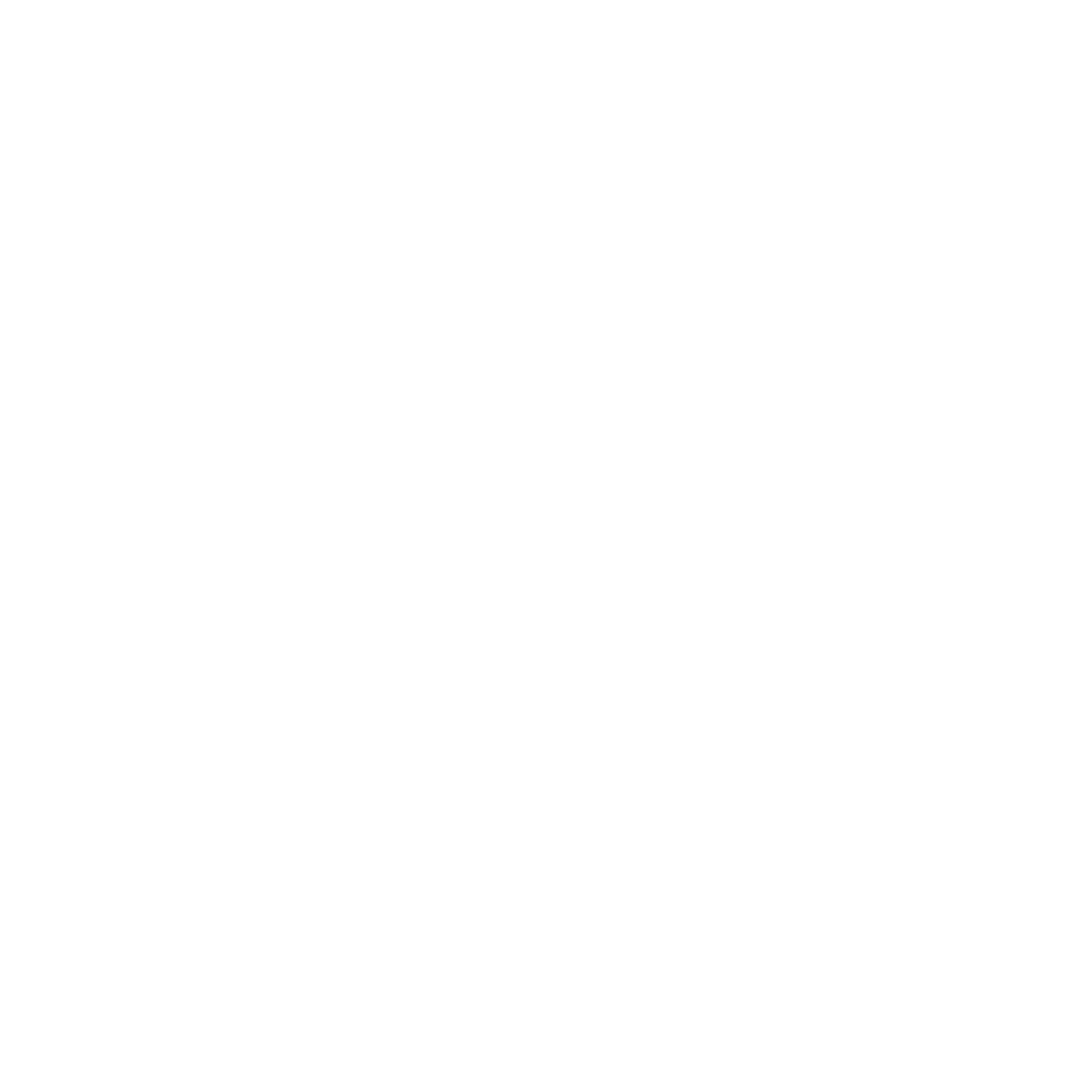 Force USA equipment brand logo — Iron Fortress facility partners, Denver CO