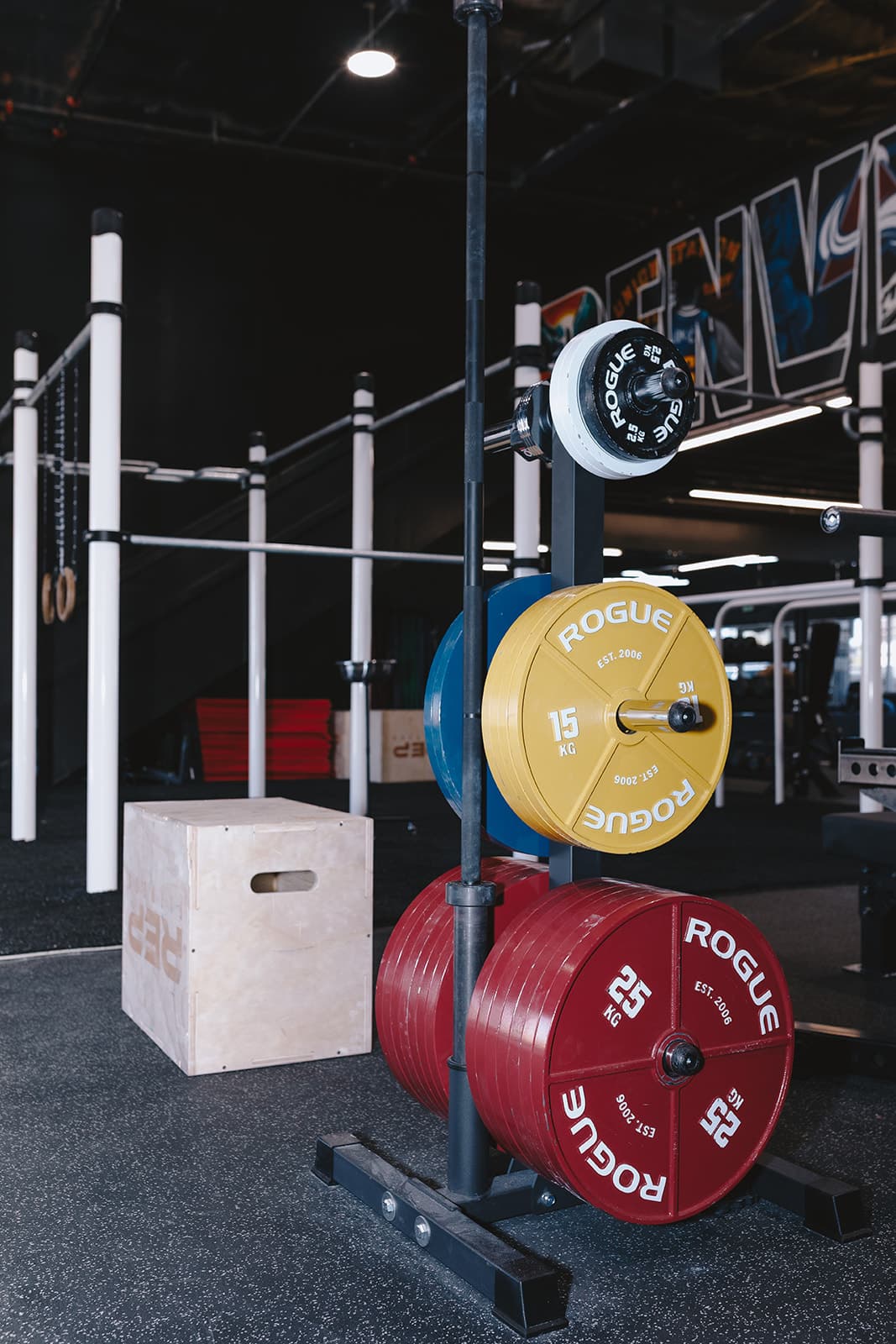 Rogue V2 calibrated competition plates and calisthenics rig at Iron Fortress, Denver CO